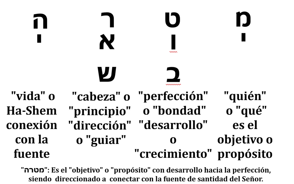 La Meta en Hebreo
