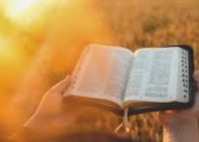 Imagen de una palabra